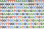 Evolutionary huffman encoding
